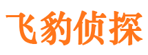 市中市调查公司